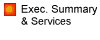 Exec. Summary