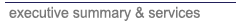 executive summary